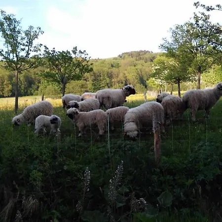 Ferienwohnung An Der Waldmuehle * Reulbach