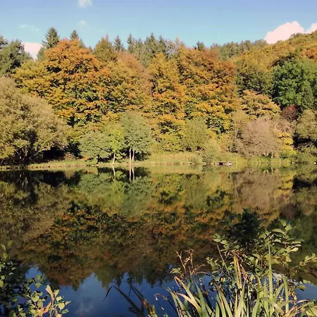 An Der Waldmuehle Apartamento Reulbach